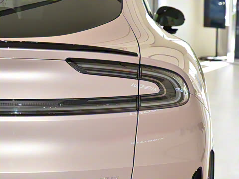 2025�� ������������Pro��