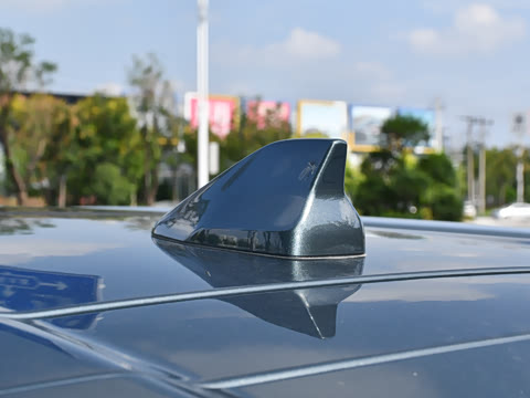 2025�� 290TGDI DCT���ư�