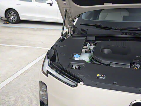 2026�� ������������Plus