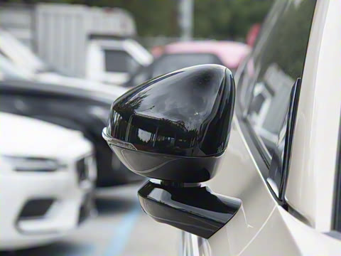 2026�� ������������Plus