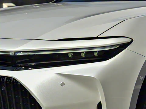 2024�� 2.5L �����