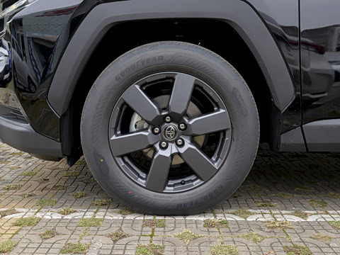 2026�� ˫�� 2.5L ����������