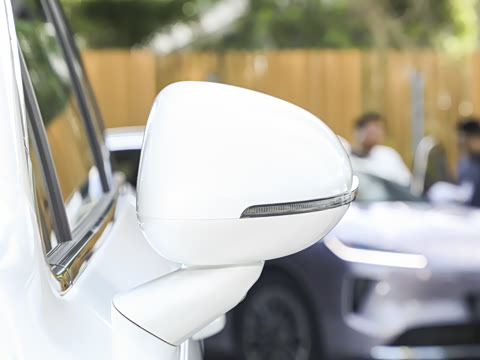 2025�� ���� Pro ������