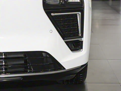 2025�� ���� 265 Max��������������ʻ