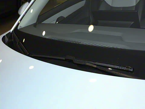 2025�� 565km ������