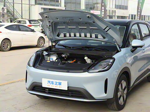 2025�� 325km ������