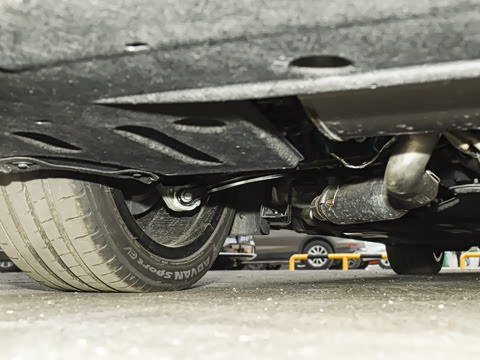 2025�� ���� Max