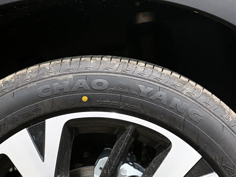 2026�� DM-i 220KM��Խ��