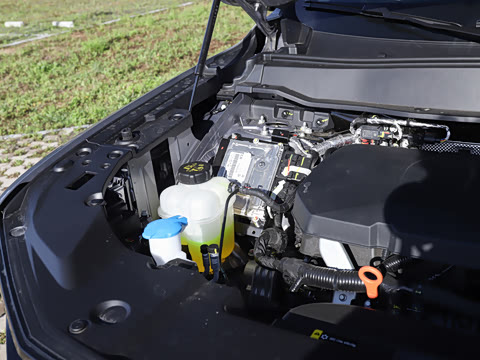 2026�� 2.0T ������Ұ��