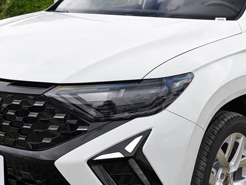 2026�� 280TSI �Զ��ȷ��