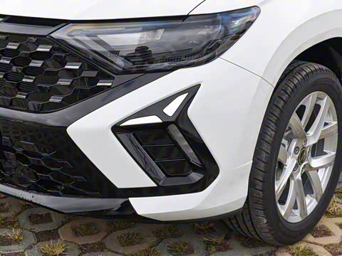 2026�� 280TSI �Զ��ȷ��