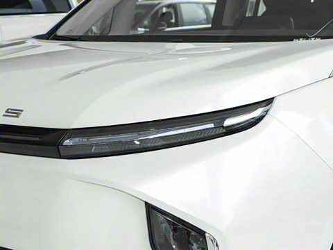 2025�� ������ ����������