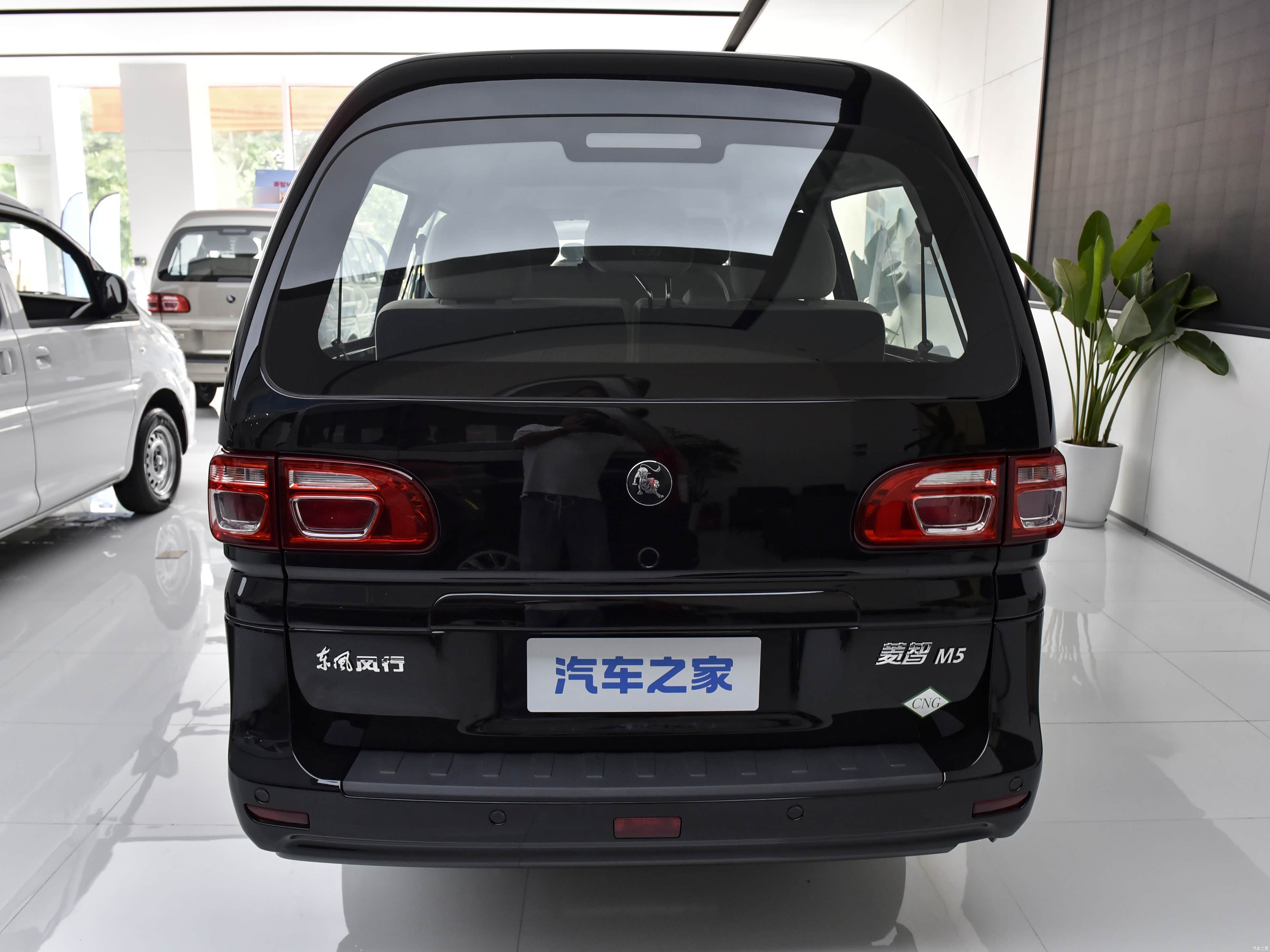 Forthing Lingzhi, миниатюра 6