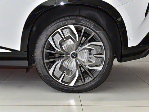 2025�� 565�����ȷ��