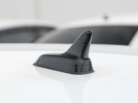 2026�� 300TSI DSG�ǿ����Ȱ�