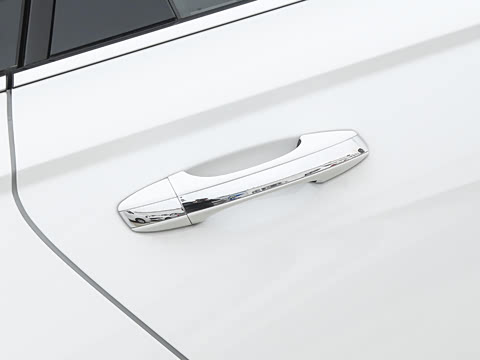 2026�� 300TSI DSG�ǿ����Ȱ�