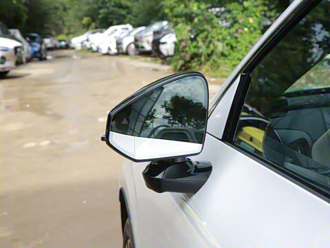 2026�� ������������Plus