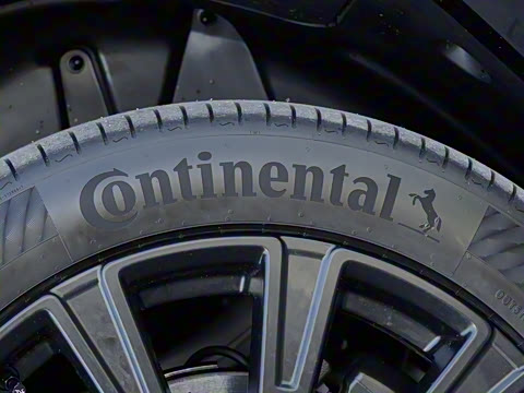 2025�� ������