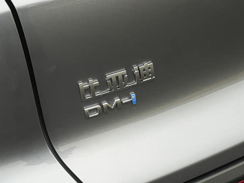 2026�� DM-i 133KM��Խ��