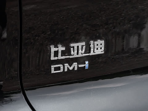 2026�� DM-i 133KM��ȡ��