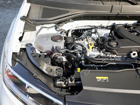 2026�� 300TSI DSG���������