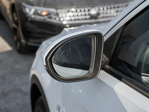 2026�� 300TSI DSG���������