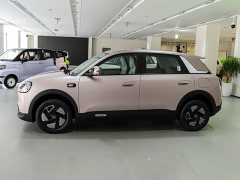 2026�� 310�Ȱ���