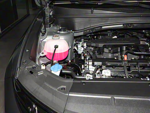 2025�� ;ʤL 1.5T ���� N-Line