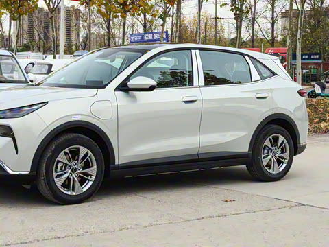 2025�� 565km ������