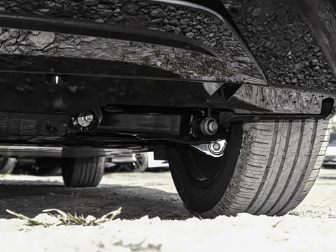 2026�� Max������