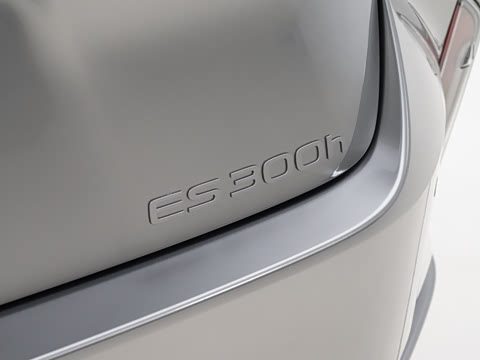 2026�� 300h ������