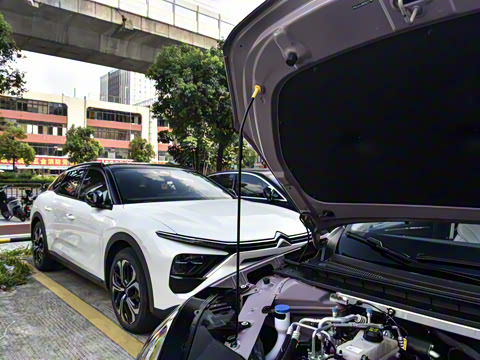 2026�� 520�Ǻ���