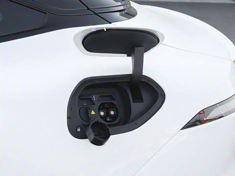 2025�� Elite�����