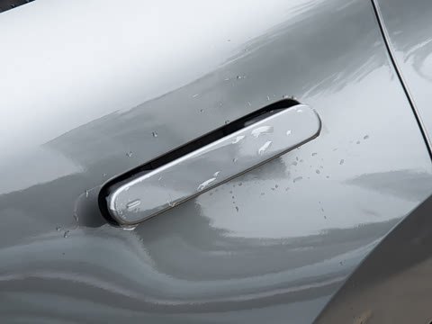 2026�� Max ������