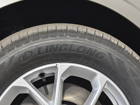 2026�� 125kmԶ����