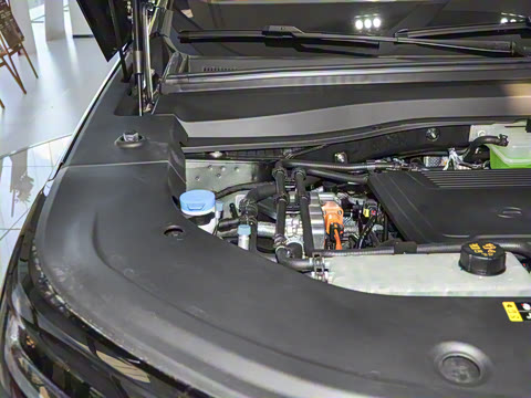 2025�� 205km Max��