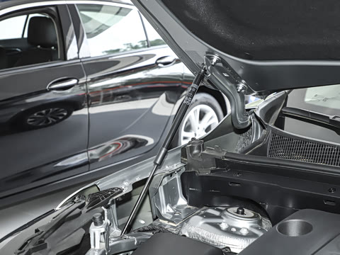 2025�� 25T �׽��