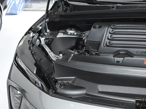 2025�� 25T �׽��