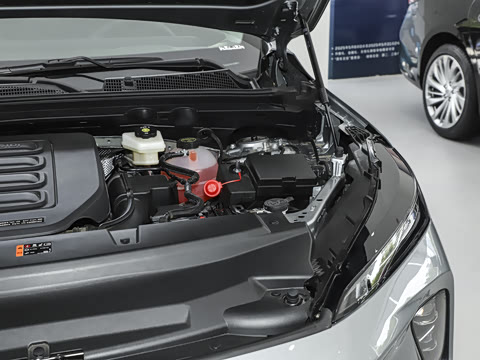 2025�� 25T �׽��