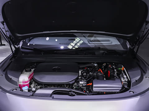 2026�� 135km ������