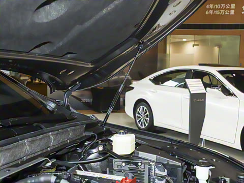 2025�� 300 ����������