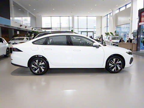 2026�� L 300TSI DSG ʱ����