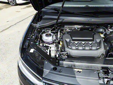 2025�� ���ڿ� 330TSI �Զ�����R-Line��ҫ��