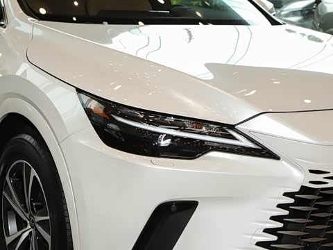 2026�� 350h ����������