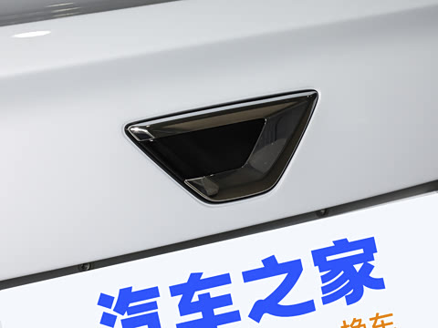 2025�� 1.5L �Զ���ȡ��