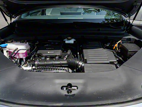 2025�� DM-i 121�캽��