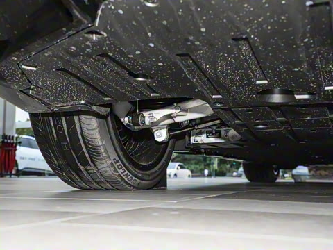 2026�� Max �����