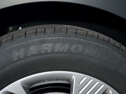 2026�� 565km �����