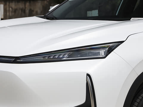 2026�� 530Խ����