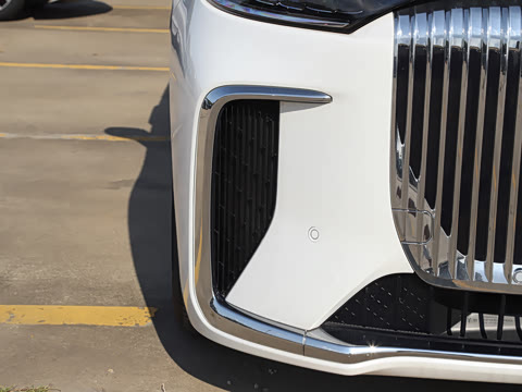 2025�� EV �������������